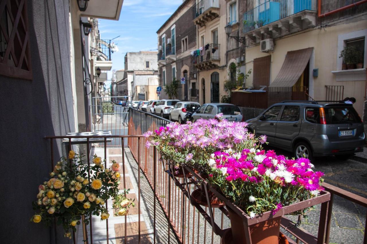 La Casetta In Centro By Sicily In Aeroporto di Catania Fontana Rossa